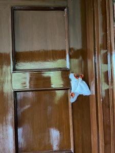 impact of cm.dhami's order 5 resort seej in nainital