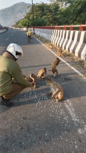 Constable mukesh dimari have sympathy with animals