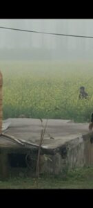 Haridwar police recovered stollen car from Hariyana