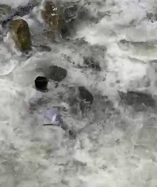 Man want selfy fall down in mandakani