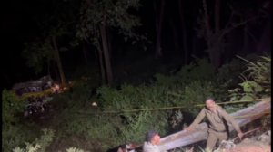 Bus accident 7 dead 22 other injured in district Nainital