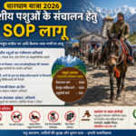 Char Dham Yatra 2026 SOP घोड़ा-खच्चरों के संचालन के लिए नई SOP लागू