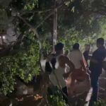Viral video -जंगल की भूमि पर देर रात काम करने वाले कौन है ये लोग?