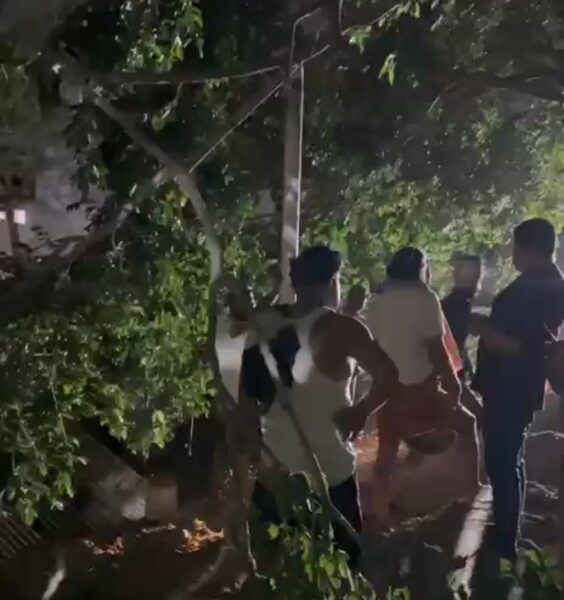 Viral video - Causing a ruckus while working late at night in the forest