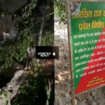 खबर का बड़ा असर – वन विभाग ने जमीन पर लगाए अपने बोर्ड